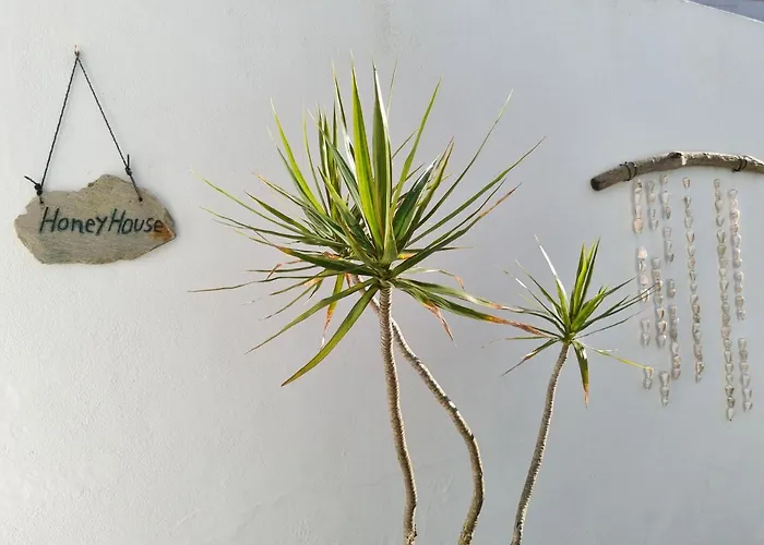 Dom wakacyjny Honey House Matosinhos (Porto)